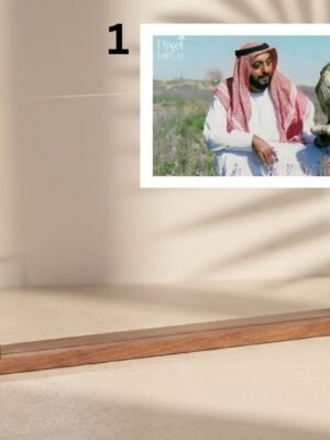 صور الشيخ خليفة بن زايد آل نهيان ( بالعرض)