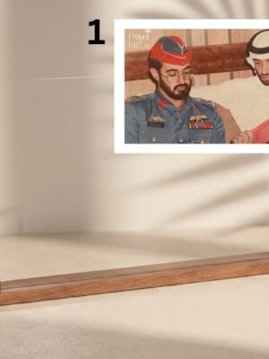 صور الشيخ هزاع بن زايد آل نهيان ( بالعرض )