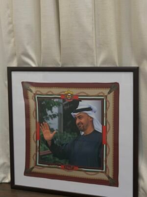 محمد بن زايد آل نهيان